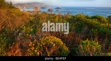 Mendocino Coast, CALIFORNIA, STATI UNITI D'AMERICA Foto Stock