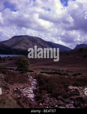 Scala Beck sul cammino verso il basso dal Mosedale per acqua Crummock Buttermere e Parco Nazionale del Distretto dei Laghi Cumbria Inghilterra England Foto Stock