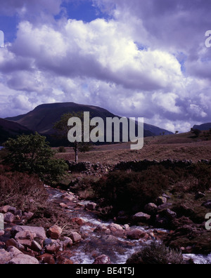 Scala Beck sul cammino verso il basso dal Mosedale per acqua Crummock Buttermere e Parco Nazionale del Distretto dei Laghi Cumbria Inghilterra England Foto Stock