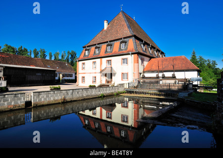 Bienwaldmuehle mill, Bienwald, Palatinato, Renania-Palatinato, Germania, Europa Foto Stock