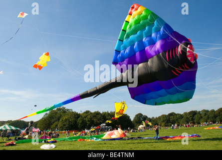 Gigantesco Aquilone, Stingray, Manta, persona, International Kite Festival, Bristol, Regno Unito Foto Stock