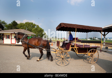 Amish buggy, Pennsylvania Dutch Country, PA, Stati Uniti d'America Foto Stock