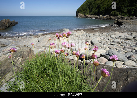 Baia Foto Stock