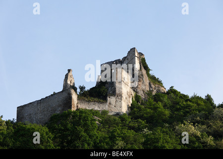 Kuenringer rovine del castello in Duernstein, Valle del Danubio, Wachau, Austria Inferiore, Austria, Europa Foto Stock