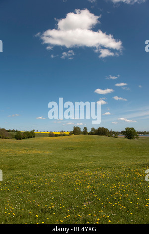 La primavera in Brodersby comune, regione Angeln, orientale verso il basso, Schleswig-Holstein, Germania, Europa Foto Stock