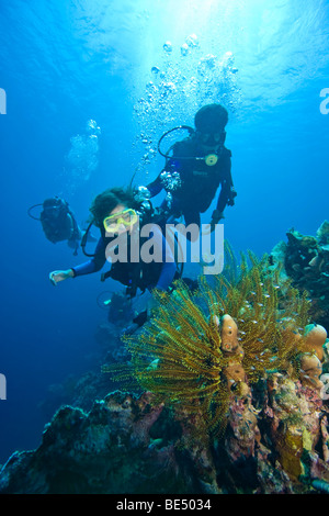 Ragazza e istruttore subacqueo, Filippine, Sud-est asiatico Foto Stock