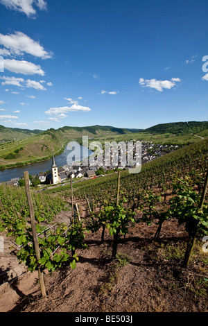 Vista sul Fiume Moselle loop vicino alla città di Bremm, distretto di Cochem-Zell, Moselle, Renania-Palatinato, Germania, Euro Foto Stock