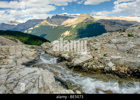 Waputik montagne dalla Iceline Trail, Parco Nazionale di Yoho della Columbia britannica in Canada Foto Stock