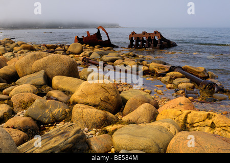 Resti arrugginiti dei ss ethie piroscafo costiero che si è arenata in un 1919 di tempesta in martins punto sul golfo di St Lawrence Terranova in Canada Foto Stock