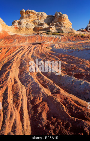 Costoni di arenaria a tasca bianco in Vermiglio scogliere monumento nazionale, Arizona Foto Stock