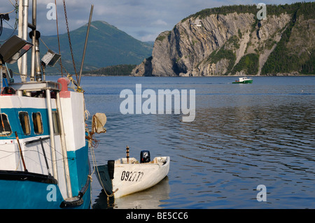 Barca da pesca lasciando il braccio est Bonne Bay a Norris punto alla fine della giornata con Shag scogliera sul Parco Nazionale Gros Morne Terranova in Canada Foto Stock