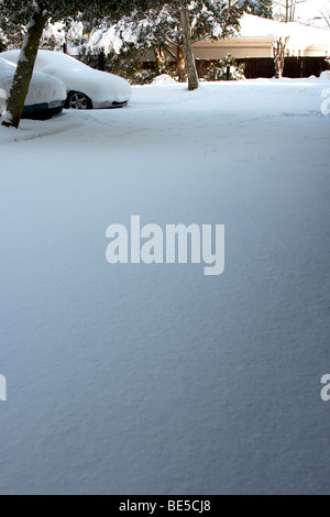 Neve auto coperti Foto Stock