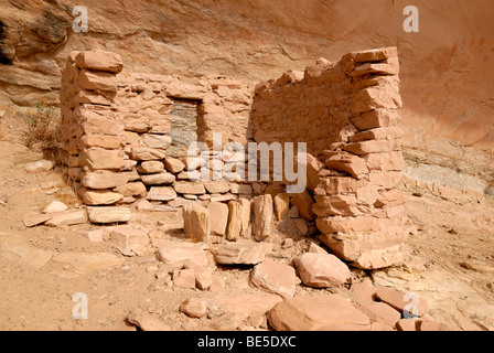 I resti storici di un abitazione di indiani Anasazi intorno al 1100 AD, molle fredda grotta vicino Bluff, Utah, Stati Uniti d'America Foto Stock
