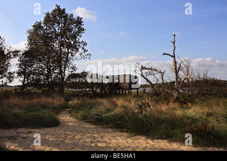 La Riserva Naturale Nazionale Benacre vicino Southwold, Suffolk, Inghilterra, Regno Unito. Foto Stock