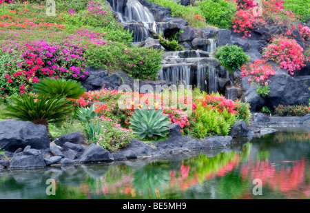 Cascate e giardini di fiori al Grand Hyatt, Kauai, Hawaii. Foto Stock
