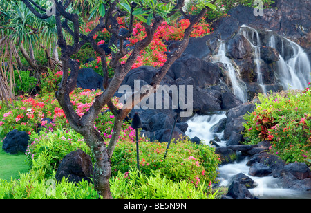 Cascate e giardini di fiori al Grand Hyatt, Kauai, Hawaii. Foto Stock