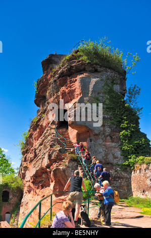 Drachenfels rovine, Busenberg montagna, Naturpark Pfaelzerwald riserva naturale, Palatinato, Renania-Palatinato, Germania, Europa Foto Stock