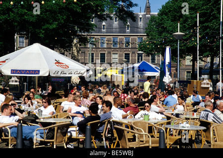 Bar caffetteria sulla terrazza del Buitenhof, nella parte anteriore del Binnenhof complesso di edifici del Parlamento su Hofvijver, Corte di stagno, il Foto Stock