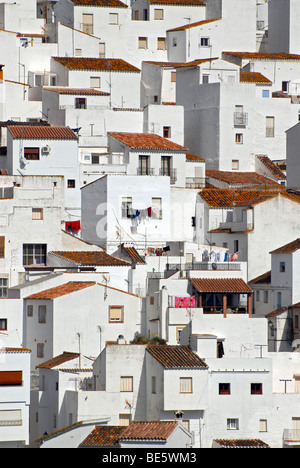 Le case bianche di Casares, uno dei "Pueblos Blancos" nella provincia di Malaga, Andalusia, Spagna, Europa Foto Stock