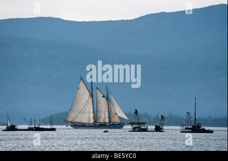 La Tall Ship Zodiac vele passato reefnet salmon marce tra Lummi Island e Orcas Island. Lo Zodiaco è stato lanciato nel 1924. Foto Stock