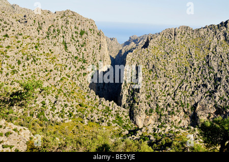 Vista del torrente de Pareis Gorge, una delle migliori aree di escursioni dell'isola, montagne Tramuntana, Maiorca, isole Baleari, Foto Stock