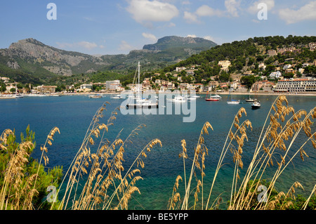 Porto di Port de Soller, Maiorca, isole Baleari, Spagna, Europa Foto Stock