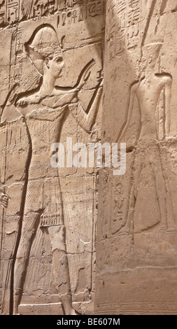 Disegni di parete, muro sollievo al Tempio di Luxor, Egitto, Africa Foto Stock