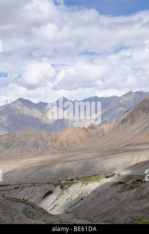 Oasi all'affluente del fiume Shyok nella Valle di Nubra, orzo colture intorno a 4000 m.s.l.m, Ladakh, Jammu un Foto Stock