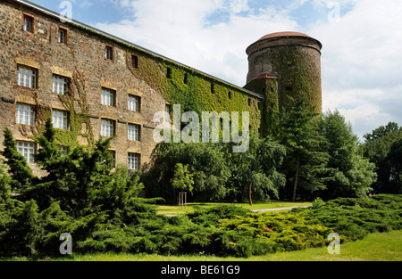 Castello, Lutherstadt Wittenberg, Sassonia-Anhalt, Germania, Europa Foto Stock