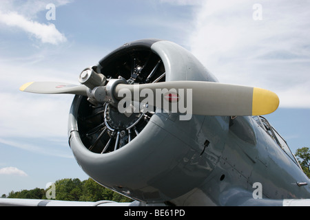 North American T-6 aereo, Louisa, Virginia Foto Stock