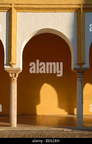 Un arco nel cortile della Mezquita, la Chiesa/la moschea di Cordova, Andalusia, Spagna, Europa Foto Stock