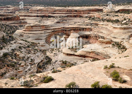 Vista del ponte Sipapu, Canyon Bianco, ponti naturali monumento nazionale, Utah, Stati Uniti d'America Foto Stock