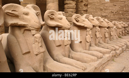 Statue di Ram, Ram sfingi, Tempio di Karnak e Luxor, la Valle del Nilo, Egitto, Africa Foto Stock
