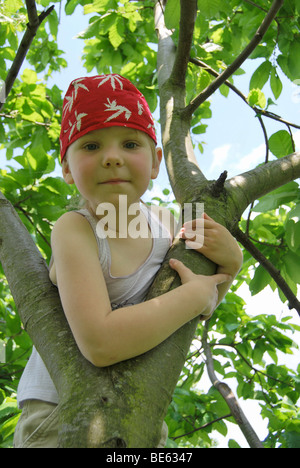 Ragazza 5 anni, indossando una bandana pirata, salendo in cima a un albero Foto Stock