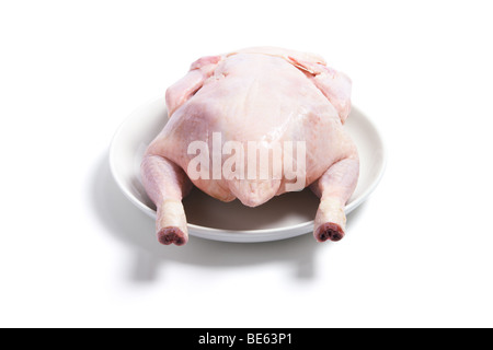 Il pollo crudo su piastra Foto Stock