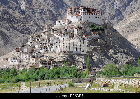 Monastero di Chemre, Ladakh, India, Asia Foto Stock