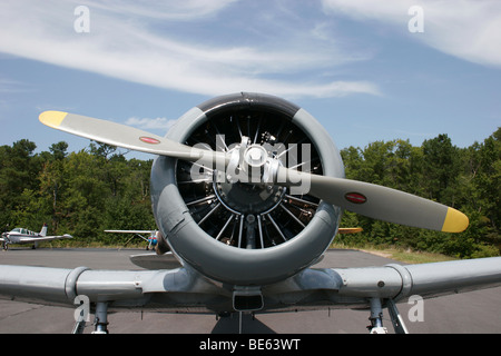North American T-6 aereo, Louisa, Virginia Foto Stock