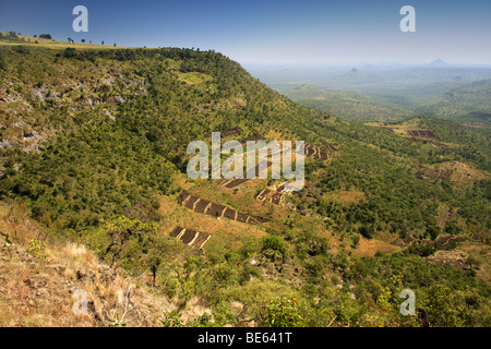 Vista attraverso la Great Rift Valley dalle pendici del monte Elgon in Uganda. Foto Stock