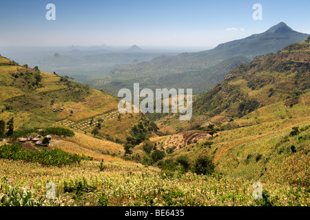 Vista attraverso la Great Rift Valley dalle pendici del monte Elgon in Uganda. Foto Stock