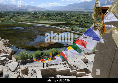 Vista dal monastero di Shey sul Indus altopiano, oasi fluviale con laghetto di pesci di fronte al monastero di Ladakh Himalaya, India, Foto Stock