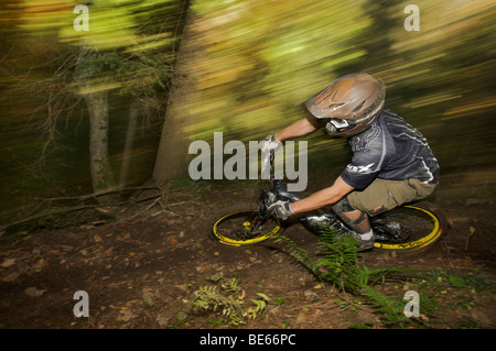 Mountainbiker sul tracciato della pista di discesa a Hopfgarten nella valle Brixental Tirolo, Austria, Europa Foto Stock