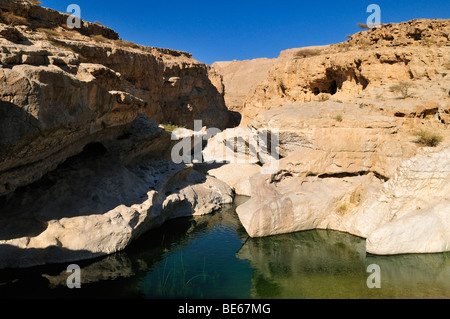 Piscina di acqua in un canyon rocciosi, Wadi Bani Khalid, Sharqiya regione, il sultanato di Oman, Arabia, Medio Oriente Foto Stock