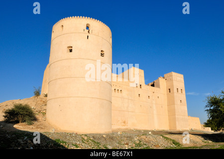 Adobe storica fortificazione Rustaq Fort o castello, Hajar al Gharbi montagne, Batinah regione, il sultanato di Oman, Arabia, Middl Foto Stock