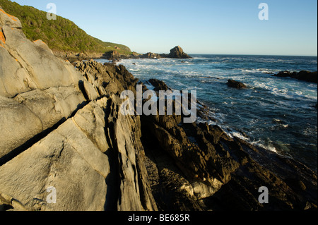 Otter trail, Tsitsikama National Park, Garden Route, Sud Africa Foto Stock