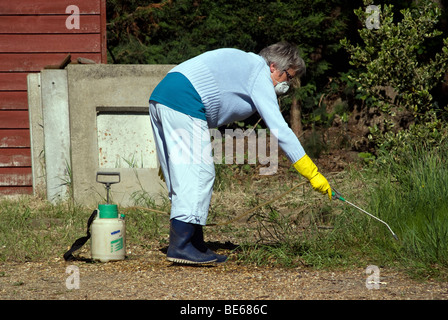 Donne deselezionando le erbacce nel giardino con erbicida spray Foto Stock