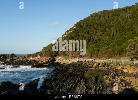 Otter trail, Tsitsikama National Park, Garden Route, Sud Africa Foto Stock