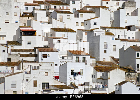 Le case bianche di Casares, uno dei "Pueblos Blancos" nella provincia di Malaga, Andalusia, Spagna, Europa Foto Stock