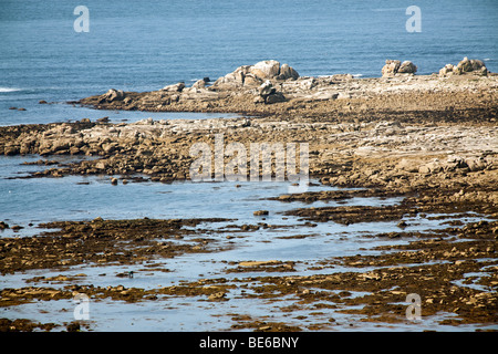Vista su penmarc"punto h dalla parte superiore del faro eckmulh, Finisterre, Bretagna Francia Foto Stock