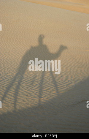 Ombra del cammello al tramonto, il Deserto di Thar, Rajasthan, India Foto Stock