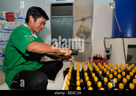 Il vietnamita uomo giallo mettendo i cappucci in plastica sulle bottiglie di vetro della tradizionale vietnamita di salsa di pesce Nuoc Mam, Phu Quoc, Vietna Foto Stock